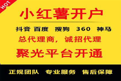 专业SEM托管：成功提升广告效果的案例分析